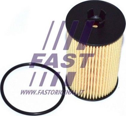 Масляный фильтр Fast для Opel Meriva A 2004-2010. Артикул FT38066