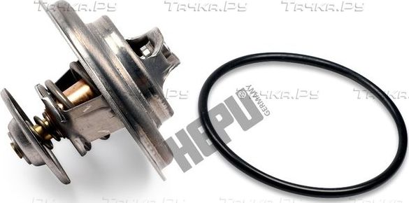 Термостат Hepu. Артикул TM1295