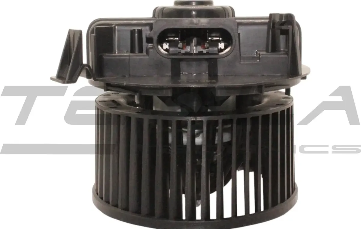 Мотор отопителя салона (Tesla Technics). Артикул TT21095