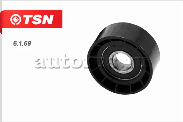 Ролик ремня приводного RENAULT LOGAN 1.4 1.6 1.6 16V SANDERO CLIO II KANGOO LAGU (TSN). Артикул 6169