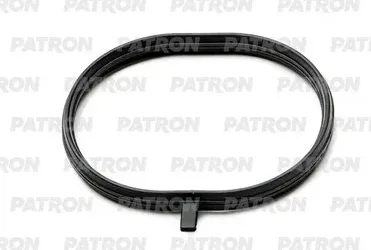 Прокладка впускного коллектора (Patron). Артикул PG51057