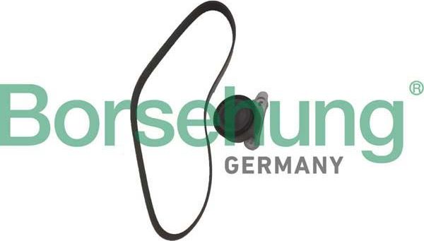 натяжитель ремня генератора комплект с ремнем 04C Borsehung. Артикул B12362