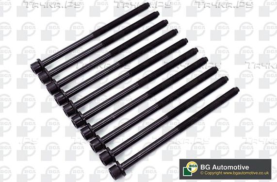 Комплект болтов ГБЦ BGA для Fiat Strada 2003-2026. Артикул BK3373
