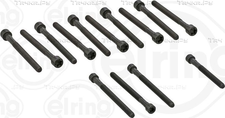 Комплект болтов ГБЦ Elring для BMW X5 II (E70) 2006-2010. Артикул 270.190