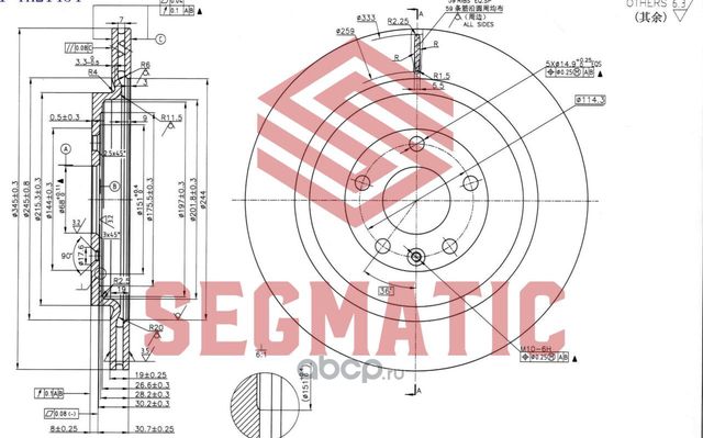 ДИСК ТОРМОЗНОЙ задний (Segmatic). Артикул SBD30093311