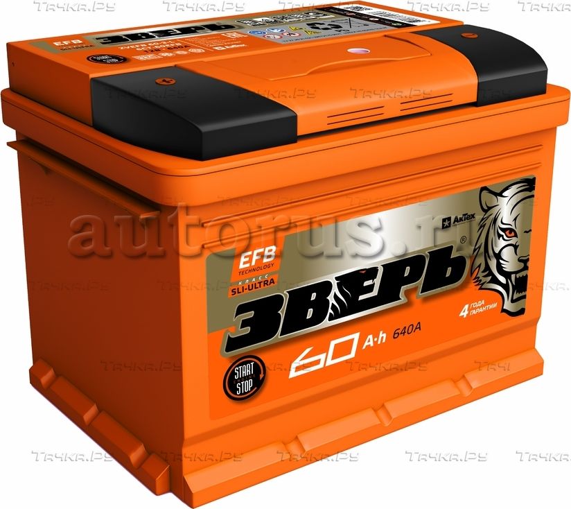 Аккумулятор ЗВЕРЬ EFB 60 А/ч обратная R+ 242x175x190 EN640 А. Артикул ZVEFB 60-3-R