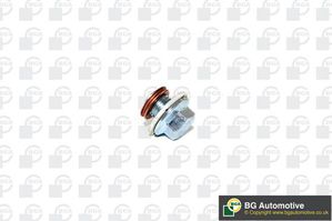 Сливная пробка масляного поддона двигателя BGA для Lotus Elise II 2004-2025. Артикул PK6300