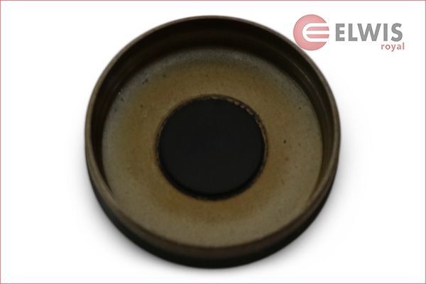 Заглушка ГБЦ Elwis Royal. Артикул 8422012