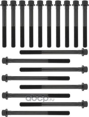 Комплект болтов ГБЦ (Zikmar). Артикул Z16545R