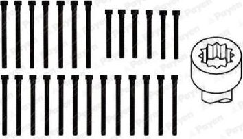 Комплект болтов ГБЦ Payen для PUCH G-modell W463 1989-1993. Артикул HBS060