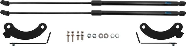 Амортизаторы (упоры) капота Arbori для Honda ZR-V 2022-2026. Артикул ARBORI.HD.014107