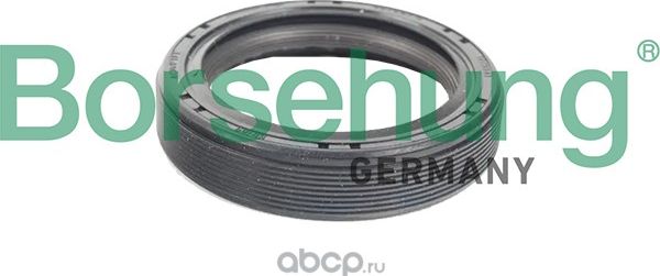 Сальник коленвала Borsehung для Audi S4 I (B5) 1997-2001. Артикул B19241