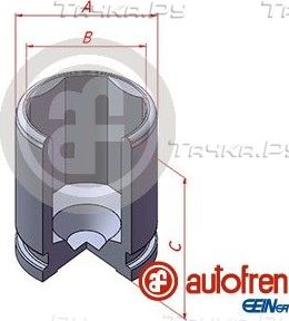 Поршень тормозного суппорта Autofren Seinsa (сталь) задний для Audi A8 II (D3) 2002-2010. Артикул D025543