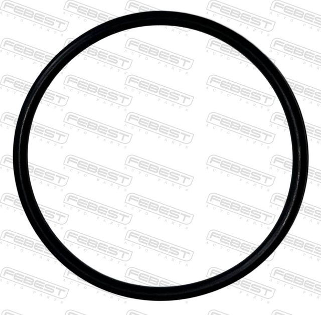 КОЛЬЦО УПЛОТНИТЕЛЬНОЕ ТОПЛИВНОГО НАСОСА 45.2X2.5 Febest. Артикул 23400-019