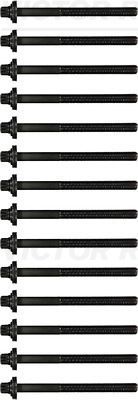 Комплект болтов ГБЦ Victor Reinz. Артикул 14-32004-01