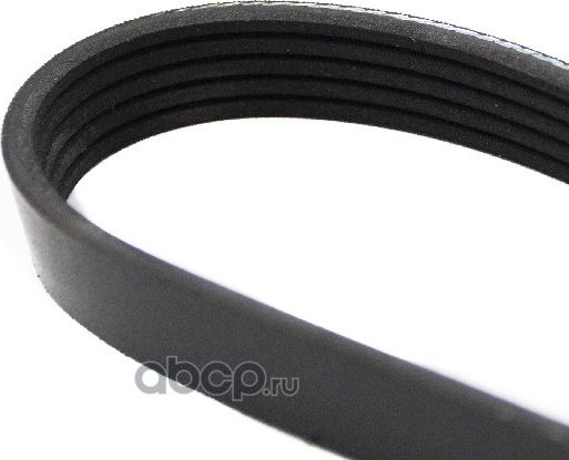 Ремень поликлиновой 5PK962 Honda Accord (97-) (SRS 73046) SURAI Surai. Артикул SRS73046