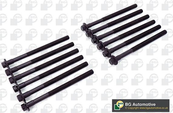 Комплект болтов ГБЦ BGA для Volvo C30 I 2006-2012. Артикул BK3375