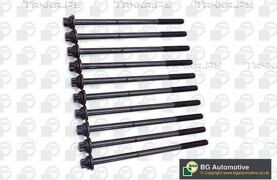 Комплект болтов ГБЦ BGA для Opel Astra G 1999-2005. Артикул BK4392