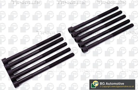Комплект болтов ГБЦ BGA. Артикул BK3319