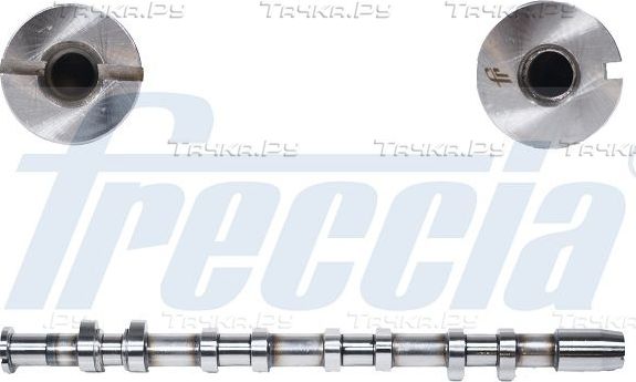 Распредвал Freccia для Audi A3 II (8P) 2004-2013. Артикул CM05-2247