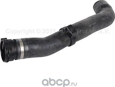 Патрубок радиатора (системы охлаждения) DAF. Артикул 2124567
