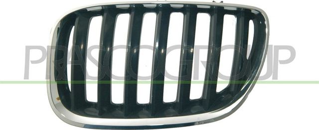 Решетка радиатора Prasco левый для BMW X5 I (E53) 2000-2006. Артикул BM8202024