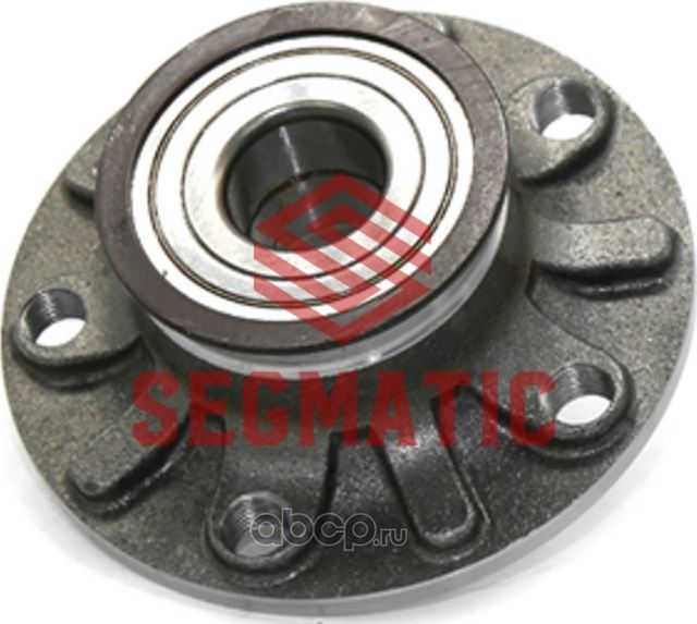 SGWH30204116 Ступица колеса в сборе зад VW Magotan, B6, B7 (Segmatic). Артикул SGWH30204116