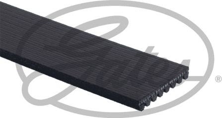 Приводной ремень поликлиновой Gates (EPDM (Этилен-пропиленовый каучук)). Артикул 8PK2113HD