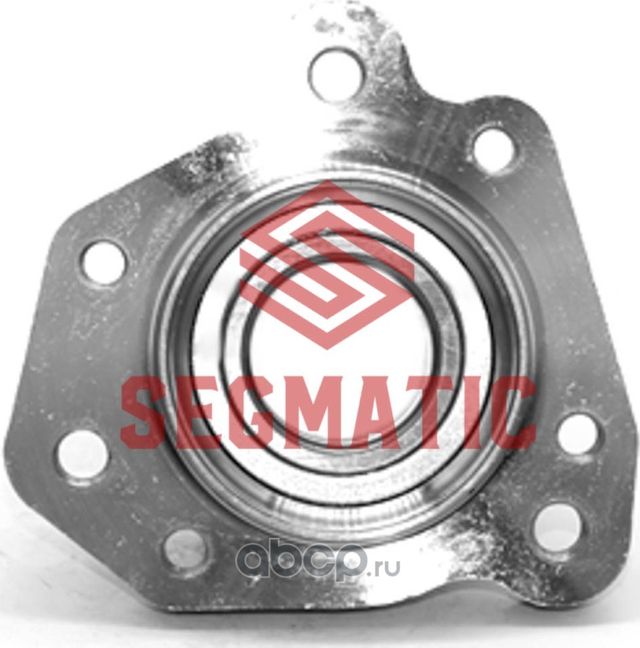 Ступица колеса (Segmatic). Артикул SGWH30204213
