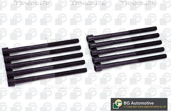 Комплект болтов ГБЦ BGA для Toyota Corolla E210 2018-2026. Артикул BK2307