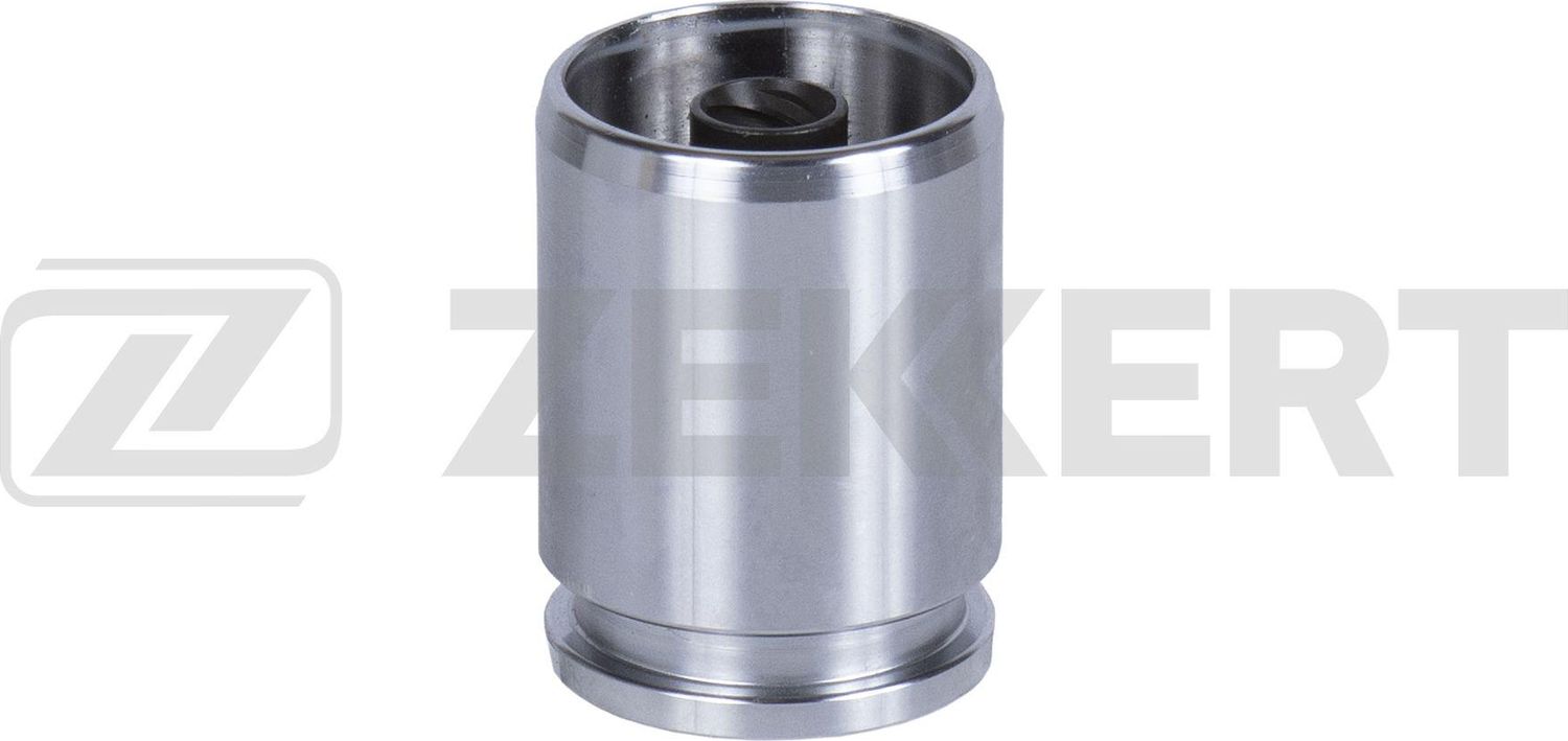 Поршень тормозного суппорта Zekkert. Артикул BR-1519