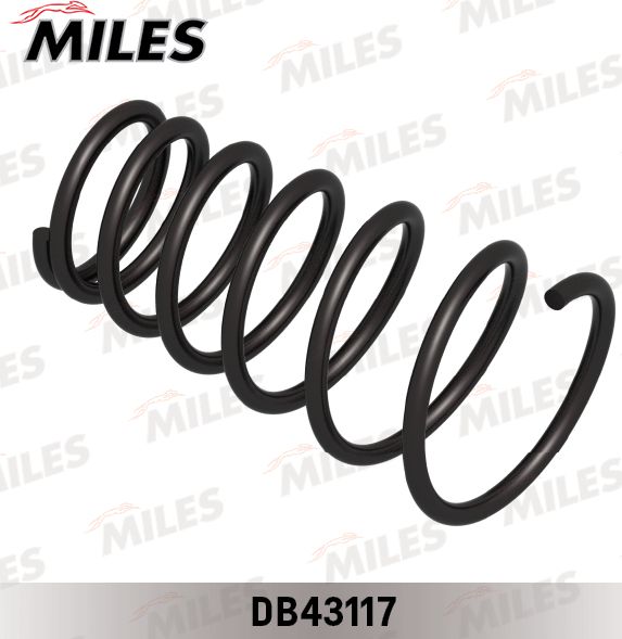 Пружина подвески Miles задняя для Hyundai Elantra III (XD) 2000-2006. Артикул DB43117