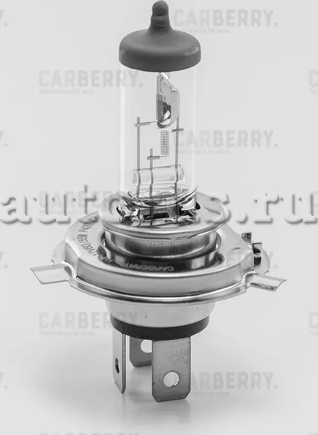 Лампа H4 12V (60/55W) Day&Night (Carberry). Артикул 31CA7