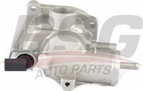 Термостат BSG. Артикул BSG 60-125-003