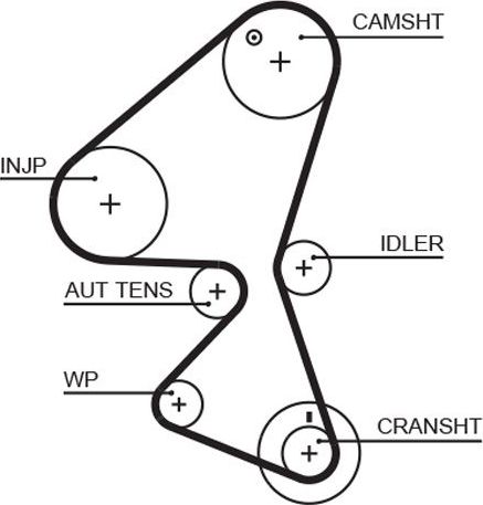 Ремень ГРМ Gates PowerGrip® для MINI Clubman I (R55) 2007-2010. Артикул 5598XS