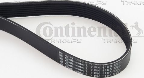 Приводной ремень поликлиновой ContiTech для Nissan Note II 2013-2026. Артикул 7PK1165