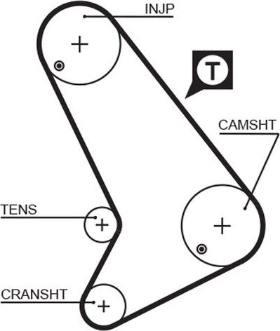 Ремень ГРМ Gates (HNBR (Hydrierter Acryl-Nitril-Butadien-Kautschuk)). Артикул 5571XS