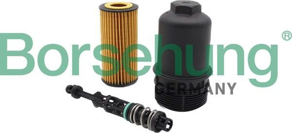Масляный фильтр (в сборе) Borsehung. Артикул B10435