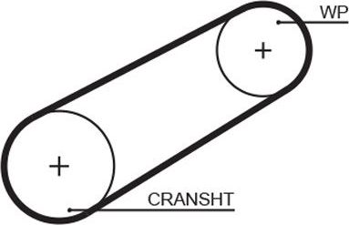 Ремень ГРМ Gates (Полихлоропрен (неопрен)). Артикул 5042