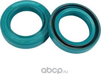 Сальник PSTF-00313 19,00/28,00*5,00/6,00 1PM (Pstpro). Артикул PSTF00313