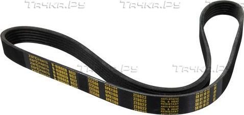 Приводной ремень поликлиновой Zentparts для SEAT Leon II 2006-2012. Артикул Z22598