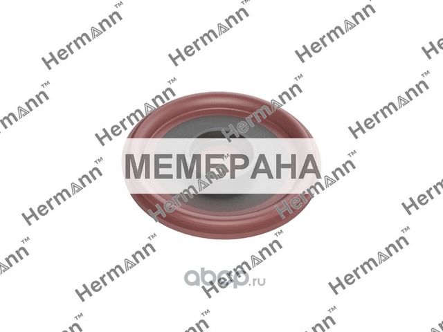 HR11127646553 МЕМБРАНА КРЫШКИ ГБЦ (Hermann). Артикул HR11127646553