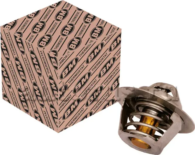 Термостат (BM). Артикул TA2985