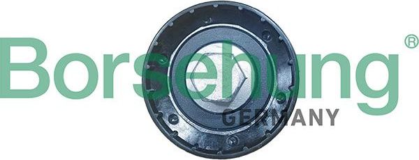 Направляющий (ведущий) ролик ремня ГРМ Borsehung. Артикул B13249