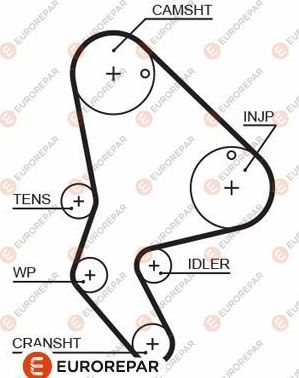 Ремень ГРМ Eurorepar для Citroen Xsara 1998-2005. Артикул 1633128980
