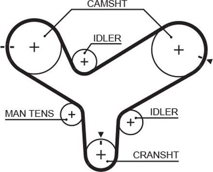 Ремень ГРМ Gates (HNBR (Hydrierter Acryl-Nitril-Butadien-Kautschuk)). Артикул 5342XS
