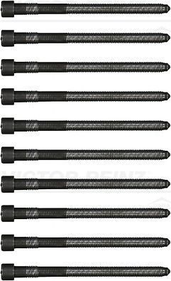 Комплект болтов ГБЦ Victor Reinz. Артикул 14-32197-01