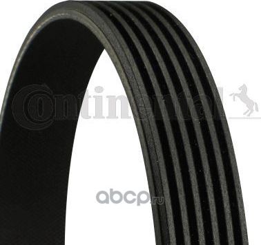 Ремень поликлиновой 6 PK 1095 MV Continental (VDO). Артикул 6PK1095