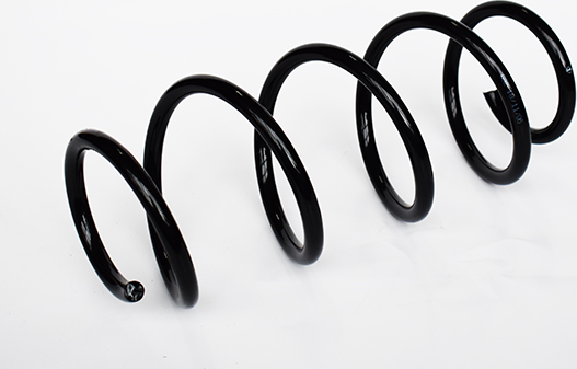 Пружина подвески ASAM. Артикул 73782