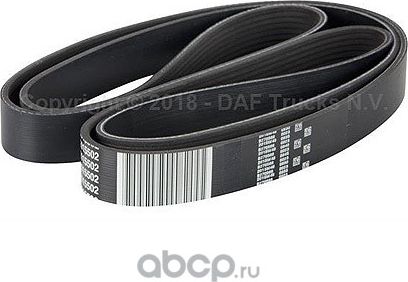 Приводной ремень поликлиновой DAF. Артикул 2015502
